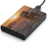 meSleep HD32108 Hard Disk Skin(Multicolor)   Laptop Accessories  (meSleep)