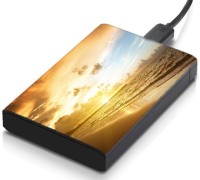 meSleep HD46098 Hard Disk Skin(Multicolor)   Laptop Accessories  (meSleep)