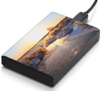 meSleep HD36175 Hard Disk Skin(Multicolor)   Laptop Accessories  (meSleep)