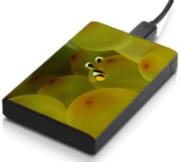 meSleep HD21081 Hard Disk Skin(Multicolor)   Laptop Accessories  (meSleep)
