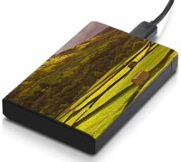 meSleep HD35165 Hard Disk Skin(Multicolor)   Laptop Accessories  (meSleep)