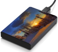 meSleep HD42244 Hard Disk Skin(Multicolor)   Laptop Accessories  (meSleep)