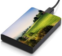 meSleep HD30326 Hard Disk Skin(Multicolor)   Laptop Accessories  (meSleep)