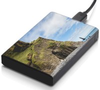 meSleep HD1794 Hard Disk Skin(Multicolor)   Laptop Accessories  (meSleep)
