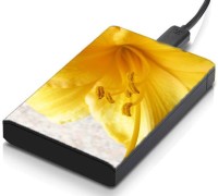 meSleep HD33002 Hard Disk Skin(Multicolor)   Laptop Accessories  (meSleep)
