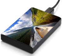 meSleep HD41197 Hard Disk Skin(Multicolor)   Laptop Accessories  (meSleep)