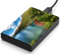 meSleep HD41092 Hard Disk Skin(Multicolor)   Laptop Accessories  (meSleep)
