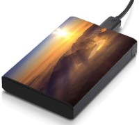 meSleep HD37173 Hard Disk Skin(Multicolor)   Laptop Accessories  (meSleep)