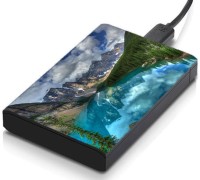 meSleep HD32030 Hard Disk Skin(Multicolor)   Laptop Accessories  (meSleep)