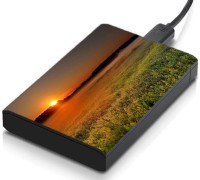 meSleep HD46095 Hard Disk Skin(Multicolor)   Laptop Accessories  (meSleep)