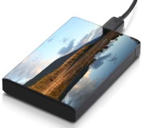 meSleep HD45323 Hard Disk Skin(Multicolor)   Laptop Accessories  (meSleep)