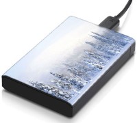 meSleep HD35250 Hard Disk Skin(Multicolor)   Laptop Accessories  (meSleep)