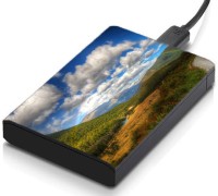 meSleep HD36153 Hard Disk Skin(Multicolor)   Laptop Accessories  (meSleep)