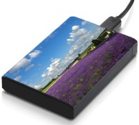 meSleep HD31338 Hard Disk Skin(Multicolor)   Laptop Accessories  (meSleep)