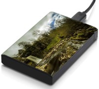 meSleep HD31162 Hard Disk Skin(Multicolor)   Laptop Accessories  (meSleep)