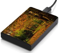 meSleep HD32144 Hard Disk Skin(Multicolor)   Laptop Accessories  (meSleep)