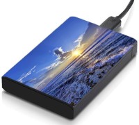 meSleep HD36090 Hard Disk Skin(Multicolor)   Laptop Accessories  (meSleep)