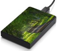 meSleep HD38204 Hard Disk Skin(Multicolor)   Laptop Accessories  (meSleep)