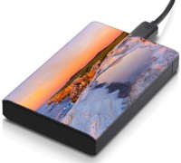 meSleep HD38324 Hard Disk Skin(Multicolor)   Laptop Accessories  (meSleep)