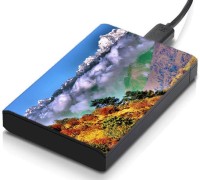 meSleep HD34155 Hard Disk Skin(Multicolor)   Laptop Accessories  (meSleep)