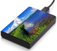 meSleep HD38355 Hard Disk Skin(Multicolor)   Laptop Accessories  (meSleep)