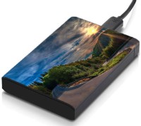 meSleep HD37280 Hard Disk Skin(Multicolor)   Laptop Accessories  (meSleep)