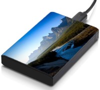 meSleep HD36345 Hard Disk Skin(Multicolor)   Laptop Accessories  (meSleep)