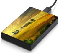 meSleep HD41150 Hard Disk Skin(Multicolor)   Laptop Accessories  (meSleep)