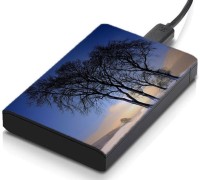 meSleep HD33179 Hard Disk Skin(Multicolor)   Laptop Accessories  (meSleep)
