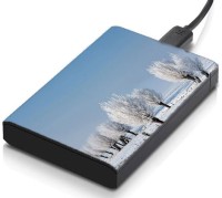 meSleep HD36252 Hard Disk Skin(Multicolor)   Laptop Accessories  (meSleep)