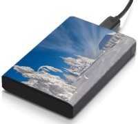 meSleep HD42375 Hard Disk Skin(Multicolor)   Laptop Accessories  (meSleep)