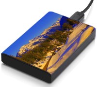 meSleep HD35294 Hard Disk Skin(Multicolor)   Laptop Accessories  (meSleep)