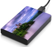 meSleep HD43186 Hard Disk Skin(Multicolor)   Laptop Accessories  (meSleep)