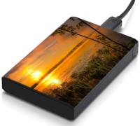 meSleep HD46397 Hard Disk Skin(Multicolor)   Laptop Accessories  (meSleep)