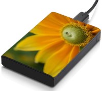 View meSleep HD35055 Hard Disk Skin(Multicolor) Laptop Accessories Price Online(meSleep)