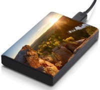 meSleep HD36065 Hard Disk Skin(Multicolor)   Laptop Accessories  (meSleep)