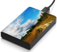 meSleep HD31273 Hard Disk Skin(Multicolor)   Laptop Accessories  (meSleep)