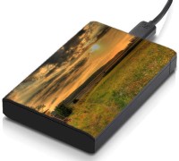 meSleep HD36386 Hard Disk Skin(Multicolor)   Laptop Accessories  (meSleep)