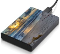 meSleep HD32335 Hard Disk Skin(Multicolor)   Laptop Accessories  (meSleep)