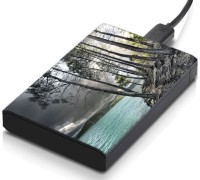 meSleep HD37036 Hard Disk Skin(Multicolor)   Laptop Accessories  (meSleep)