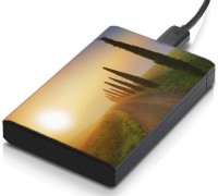 meSleep HD42165 Hard Disk Skin(Multicolor)   Laptop Accessories  (meSleep)