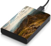 meSleep HD1718 Hard Disk Skin(Multicolor)   Laptop Accessories  (meSleep)