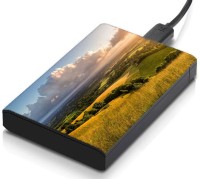 meSleep HD41178 Hard Disk Skin(Multicolor)   Laptop Accessories  (meSleep)