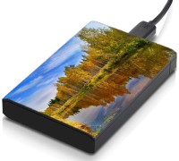 meSleep HD32136 Hard Disk Skin(Multicolor)   Laptop Accessories  (meSleep)