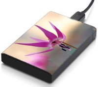 meSleep HD32400 Hard Disk Skin(Multicolor)   Laptop Accessories  (meSleep)