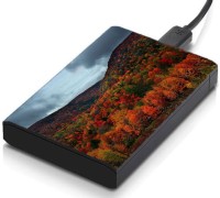 meSleep HD41256 Hard Disk Skin(Multicolor)   Laptop Accessories  (meSleep)