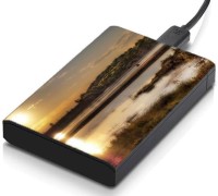 meSleep HD37208 Hard Disk Skin(Multicolor)   Laptop Accessories  (meSleep)