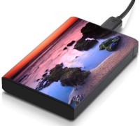 meSleep HD46212 Hard Disk Skin(Multicolor)   Laptop Accessories  (meSleep)