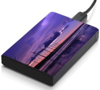 meSleep HD38179 Hard Disk Skin(Multicolor)   Laptop Accessories  (meSleep)