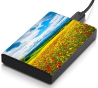 meSleep HD30101 Hard Disk Skin(Multicolor)   Laptop Accessories  (meSleep)